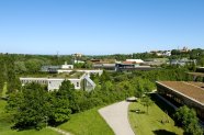 Blick über den Campus Richtung Domberg